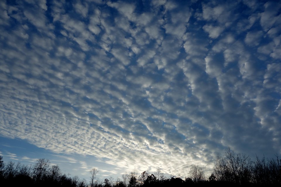 Sky Shots from February 9th, 2013
