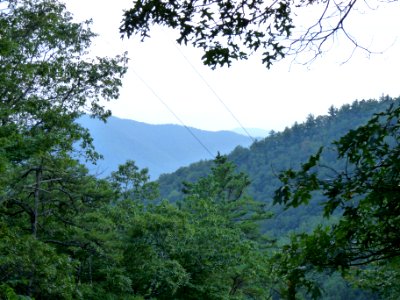 Brasstown Bald photo