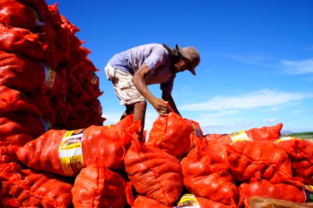 Codevasf investe em irrigação