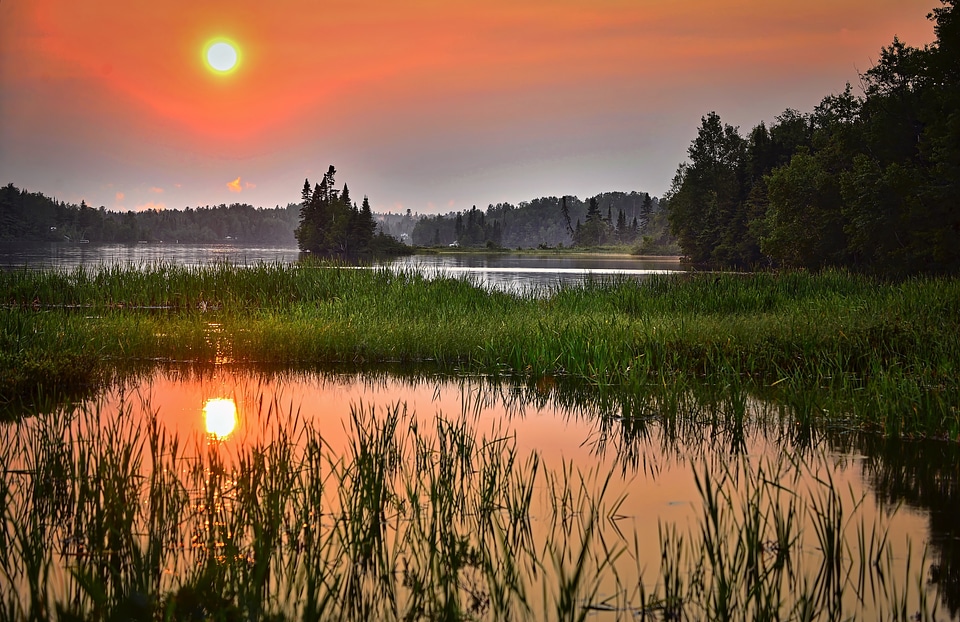 Summer twilight contrast