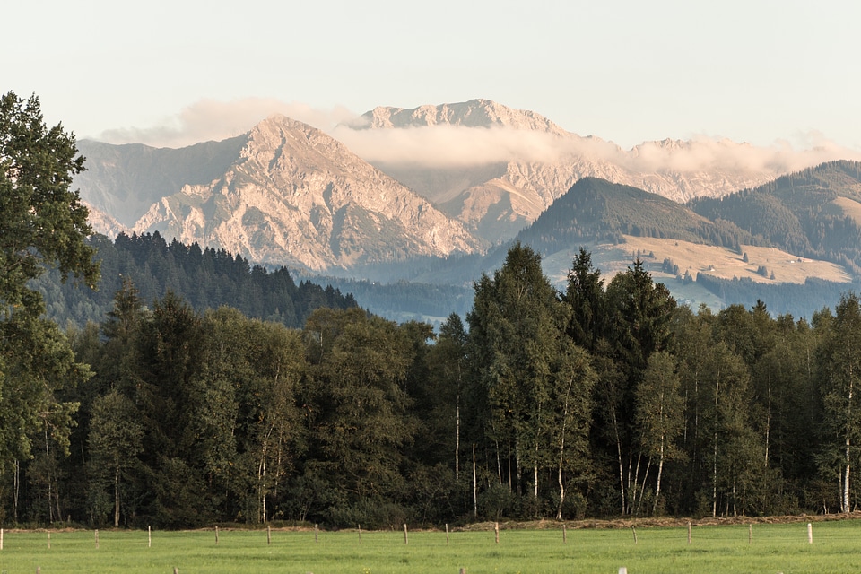 Alpine nature allgäu
