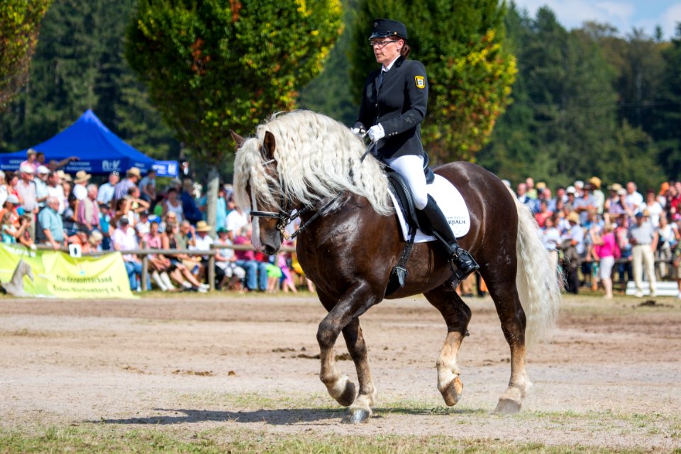 M 20165922Markstein