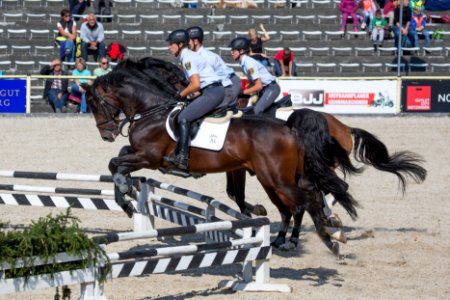 Springquadrille 20160362
