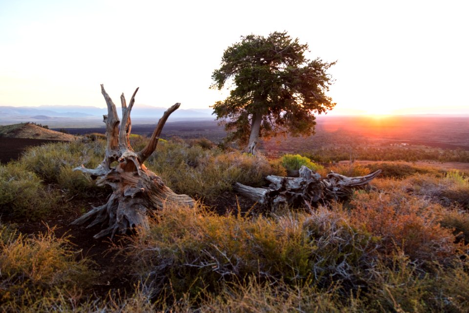 Sunrise from Inferno Cone with trees