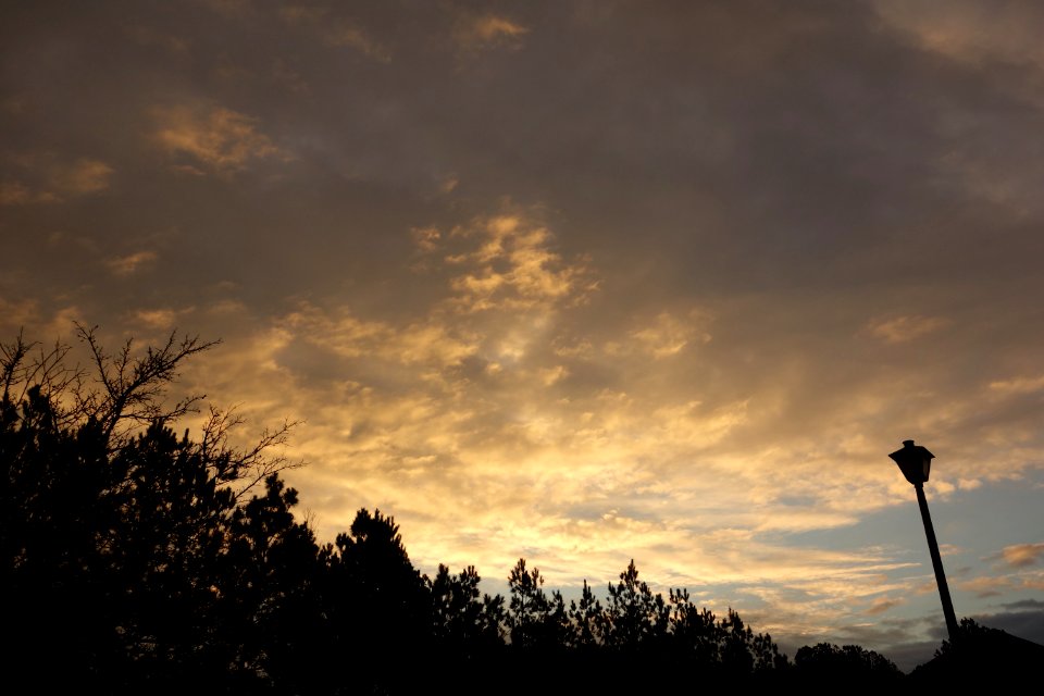 Early Morning February 5th, 2013
