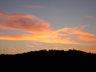 P1020782