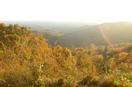 DSC04700