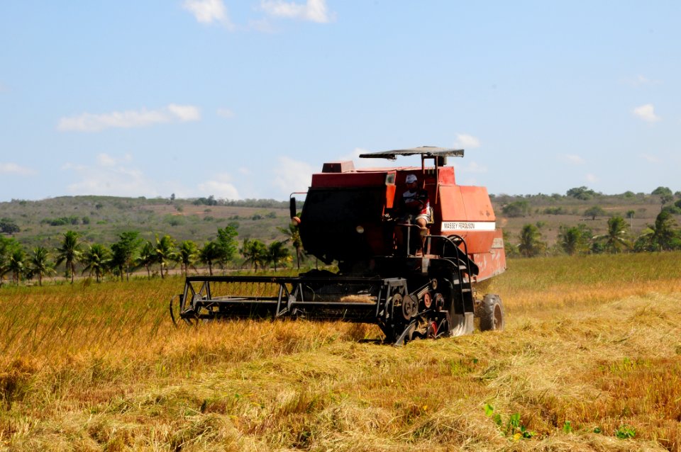 Presidente da Codevasf visita colheita de arroz em Sergipe