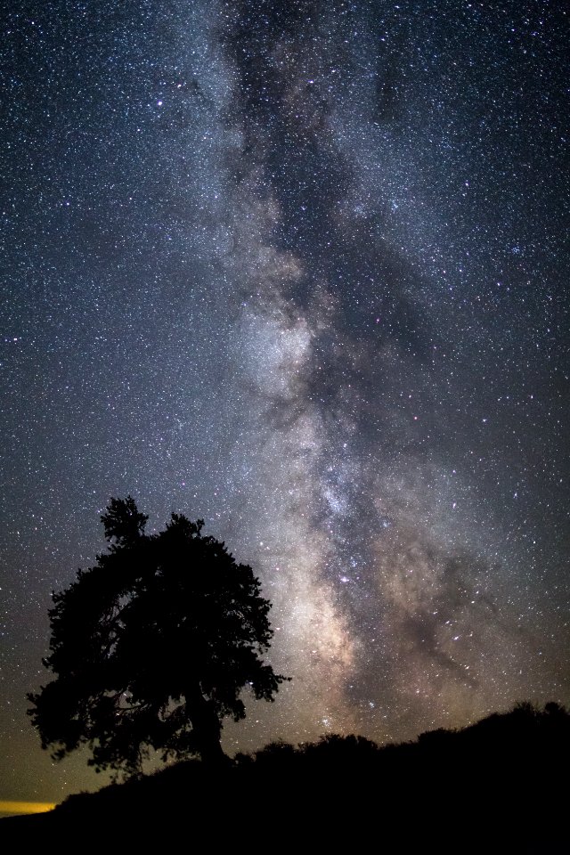 Milky Way and tree from Inferno Cone (portrait)