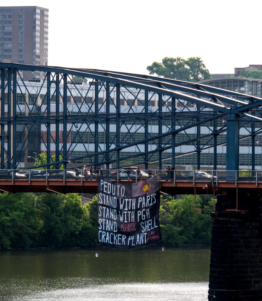 PittStudent-Banner-Drop-PD-54073