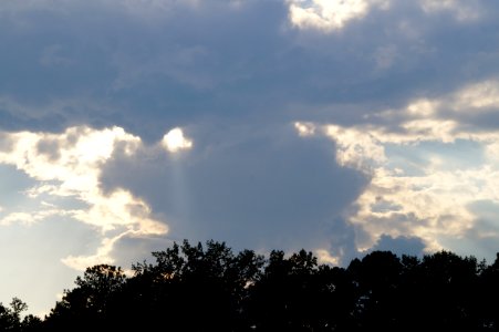 DSC01712