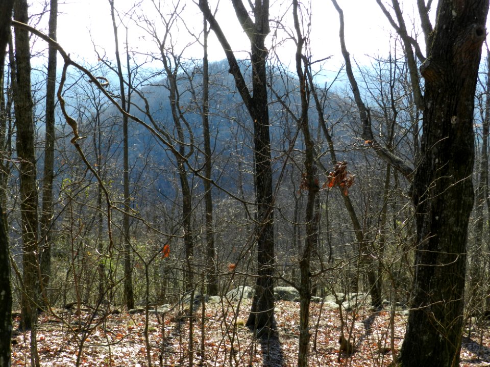 DSCN0054
