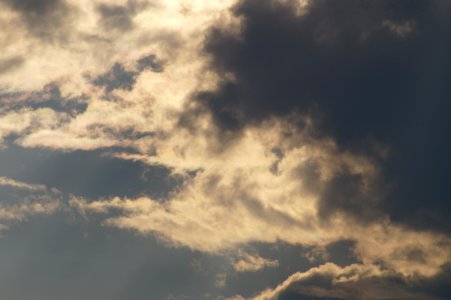 DSC01720