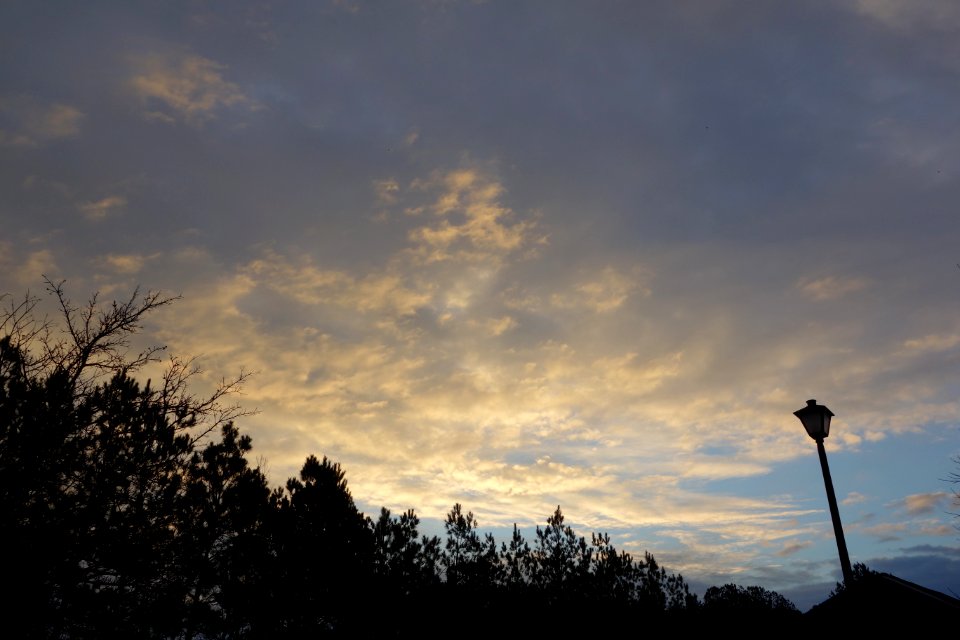 Early Morning February 5th, 2013