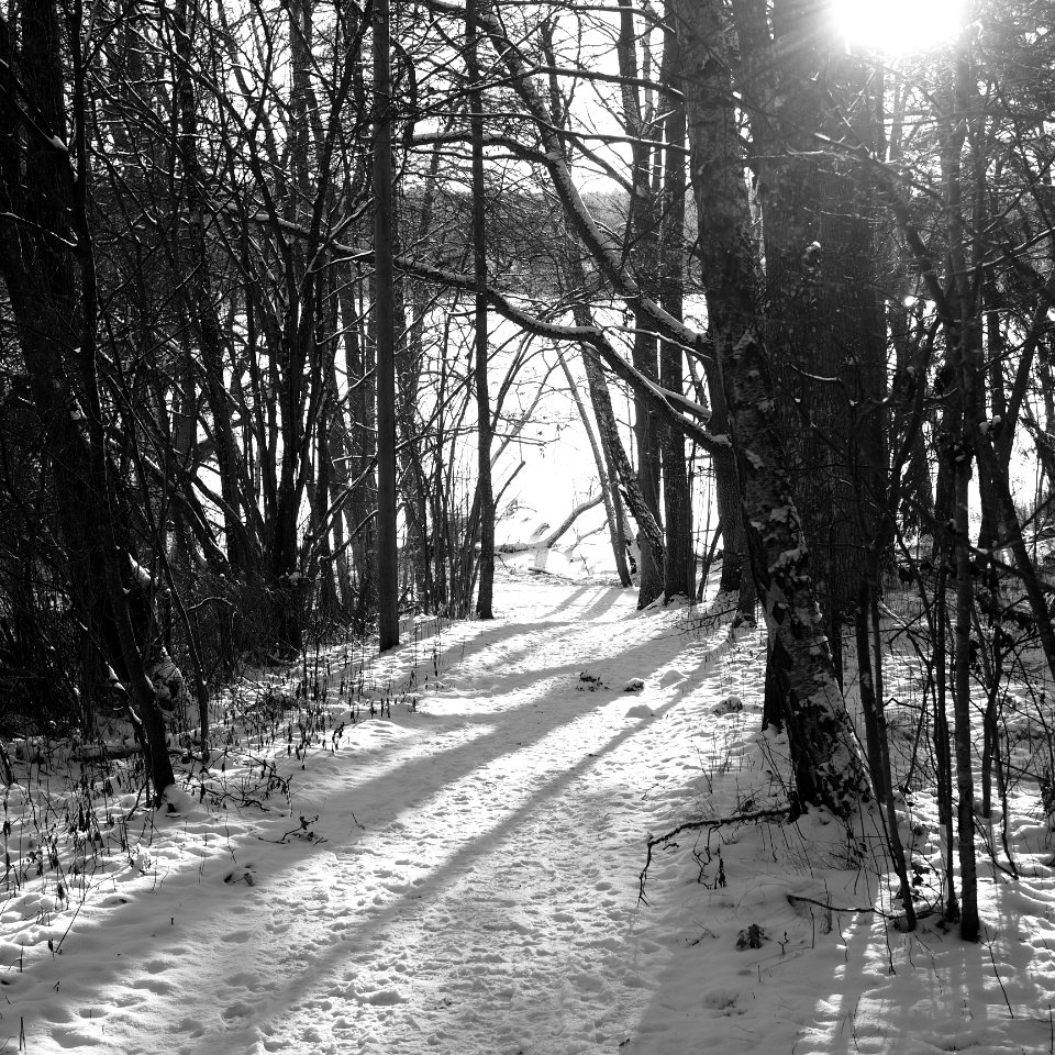 Vinter i Farsta Strand