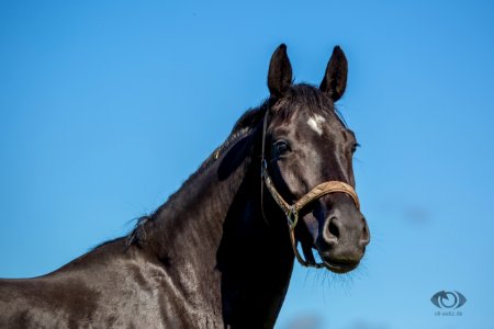 S20164220-Oliver Seitz