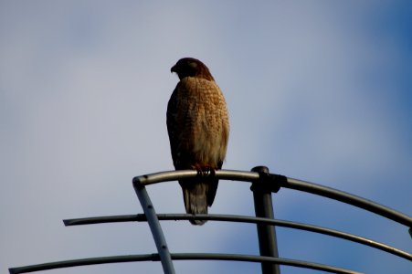 DSC01441