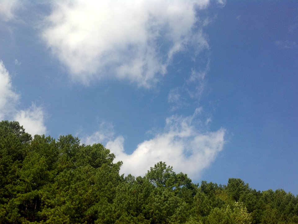 2011-09-26 12-08-20 386