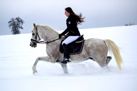 Pege OS201284