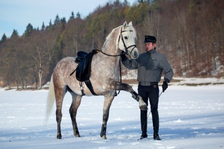 Mamlakee 20169744
