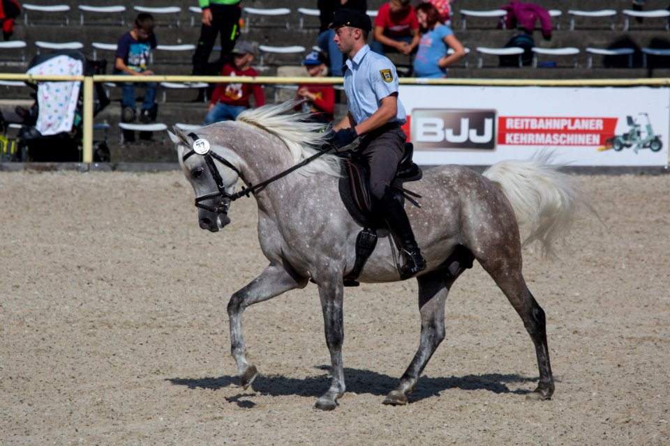 Rassenschau 20169788