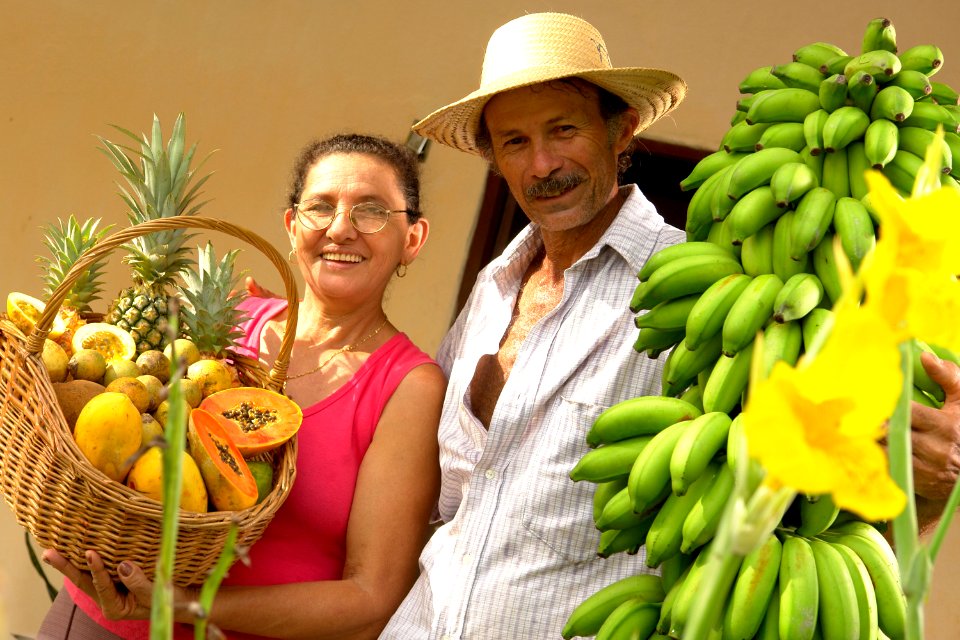 Codevasf investe R$ 3,6 milhões para beneficiar agricultura familiar  em projeto no semiárido baiano