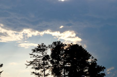 DSC01661