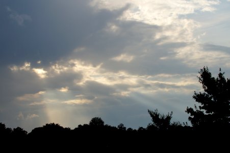 DSC02133