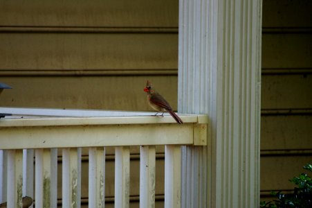DSC01484