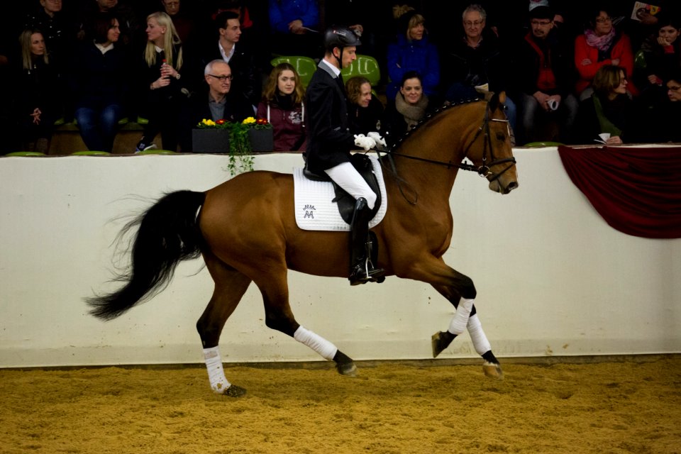 Lemercier 20162788