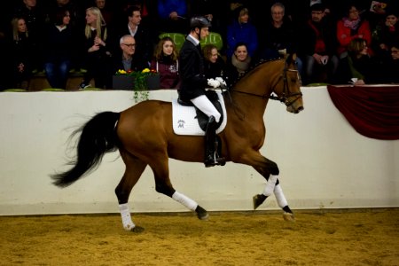 Lemercier 20162788