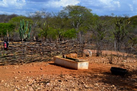 Poços instalados pela Codevasf garantem água em meio à seca