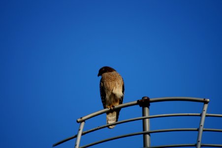 DSC01399
