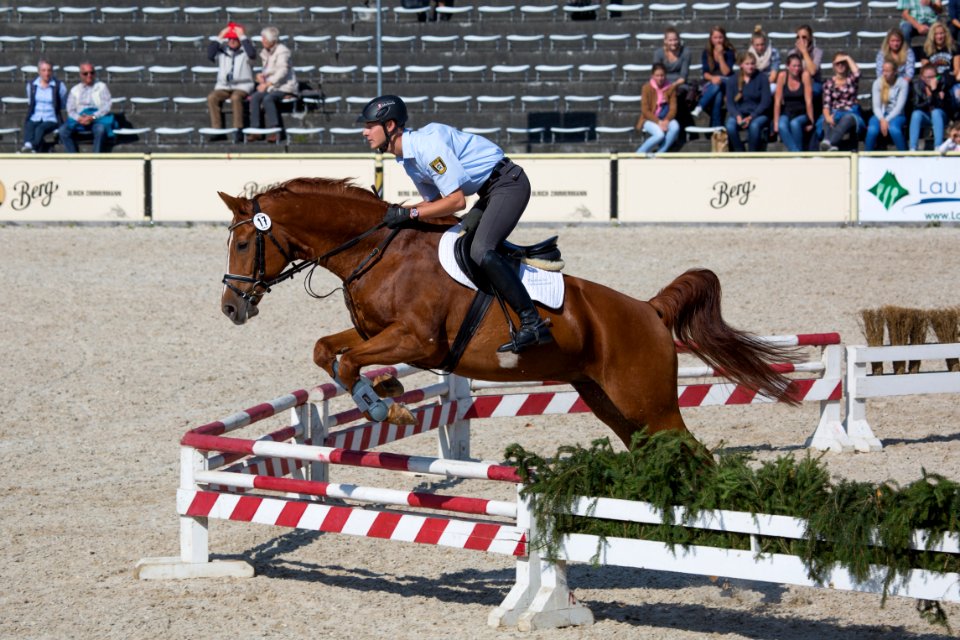 Springquadrille 20160276