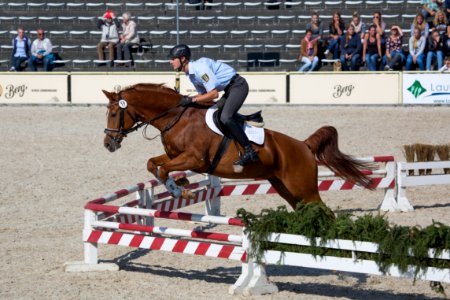 Springquadrille 20160276