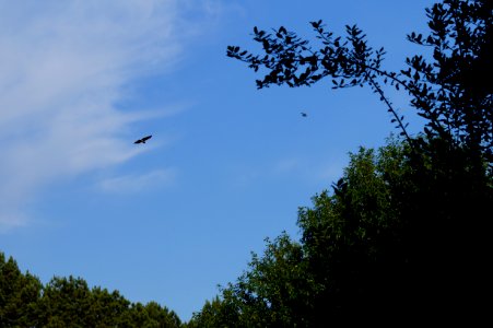 DSC01509