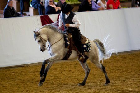 Mouammar OS175606