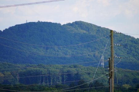 DSC01538