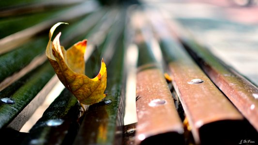 Avanzando el otoño
