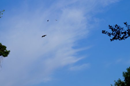 DSC01508