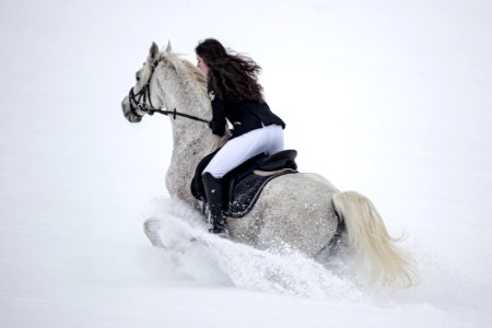Pege OS200944