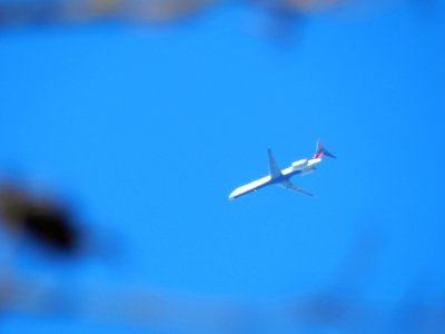 DSCN0073