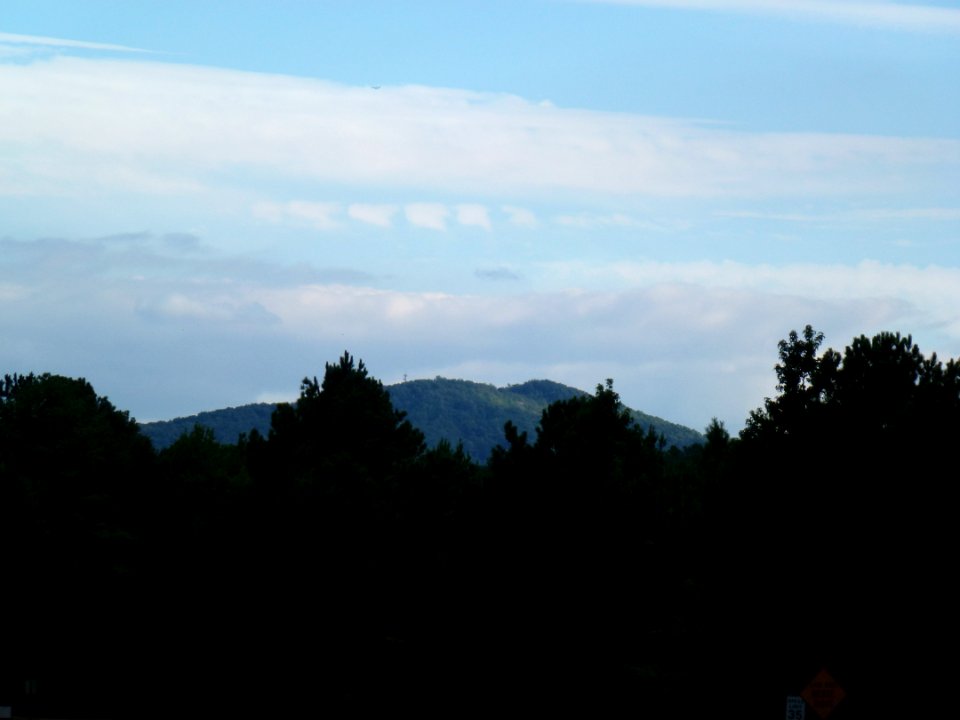 P1000065
