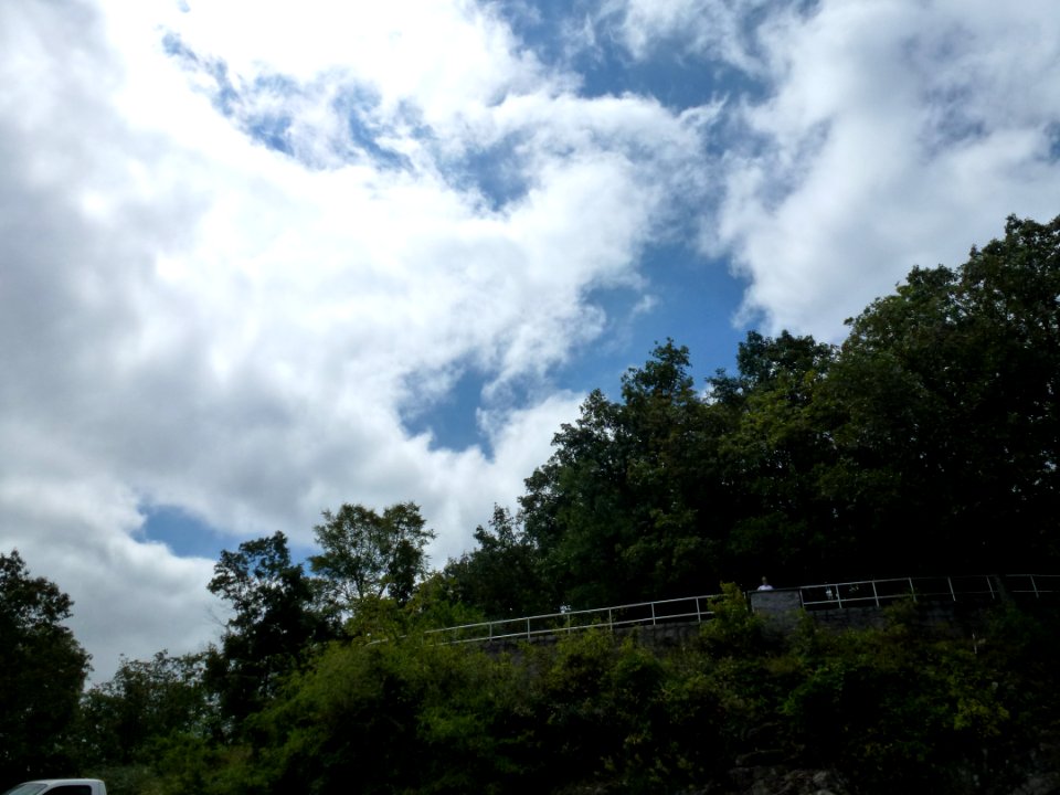P1000044