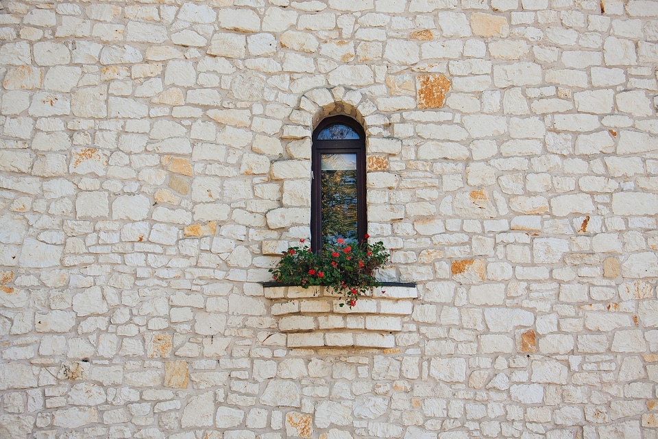 Sill flowers architecture photo