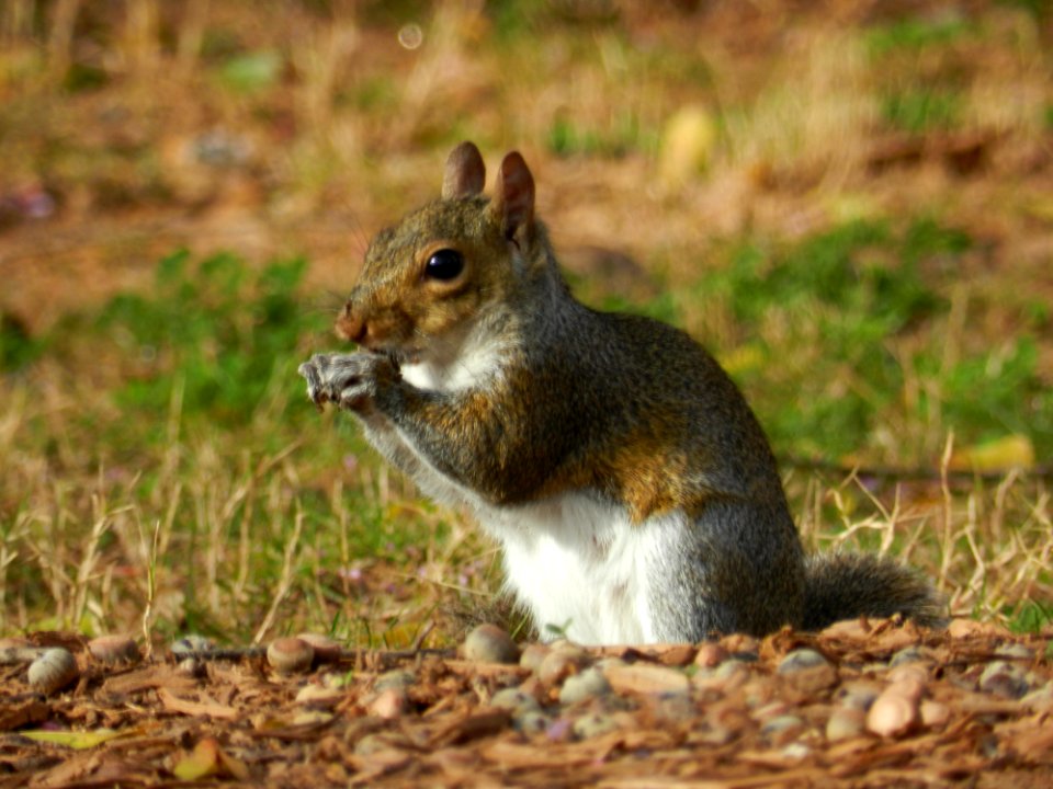 Day 55 - Snack Time
