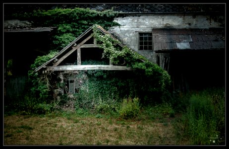 IMG 5389-Modifier