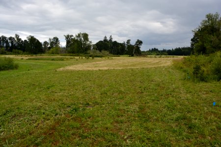 DSC 0118