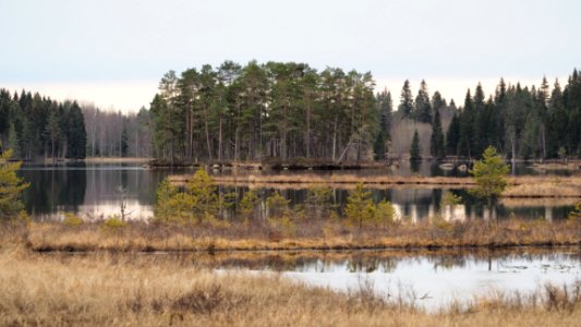 Morgon vid Grundsjön