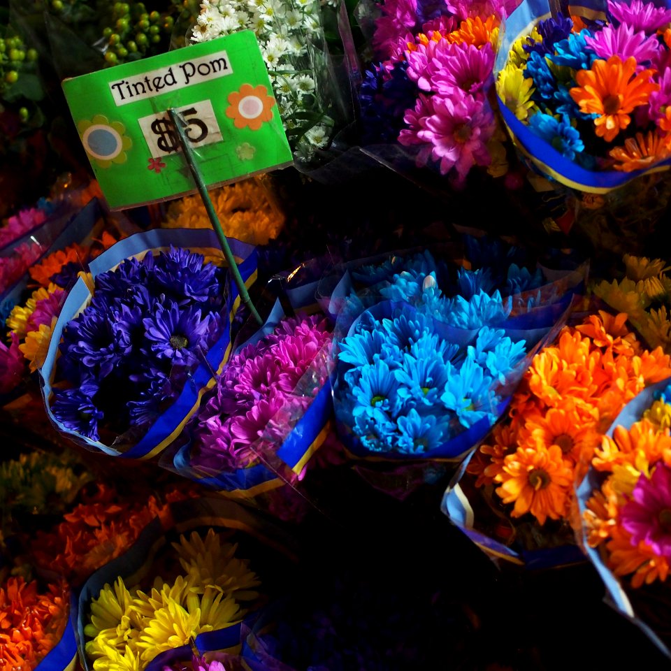 Tinted flowers at Court Square Plaza